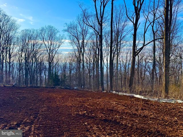 1249 HIGH TOP RD, Linden, VA 22642