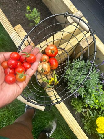 129 Cornwall Drive, Crete, IL 60417