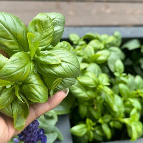 129 Cornwall Drive, Crete, IL 60417