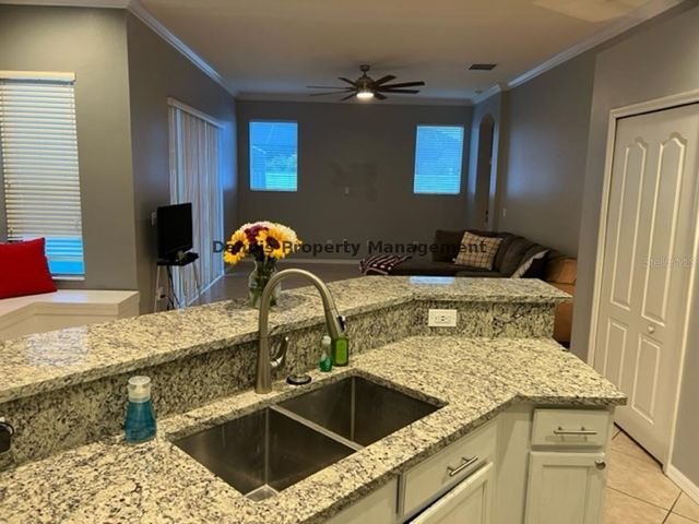 22630 EAGLES WATCH DRIVE, Land O Lakes, FL 34639