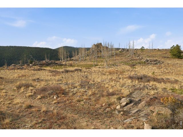 5260 Ridge Rd, Nederland, CO 80466
