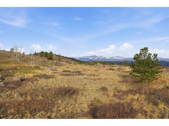5260 Ridge Rd, Nederland, CO 80466