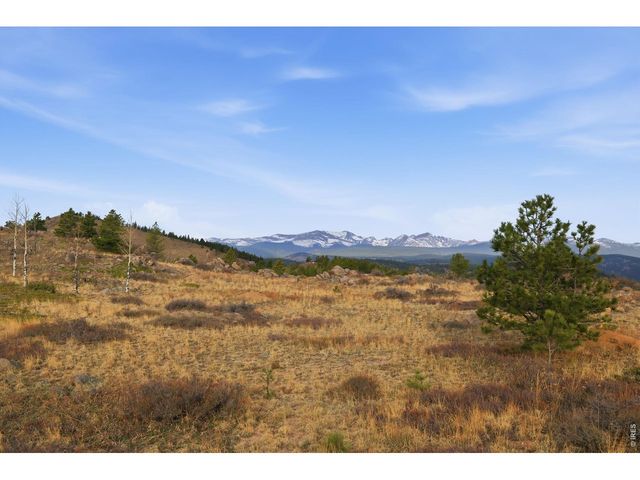 5260 Ridge Rd, Nederland, CO 80466
