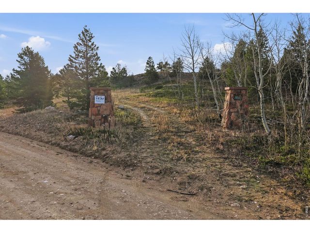 5260 Ridge Rd, Nederland, CO 80466