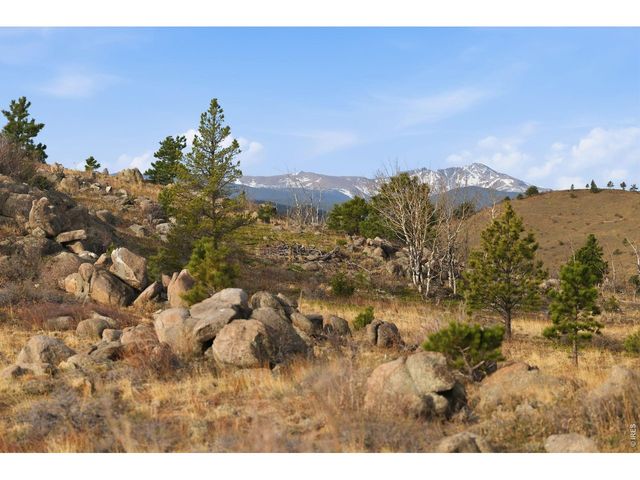 5260 Ridge Rd, Nederland, CO 80466
