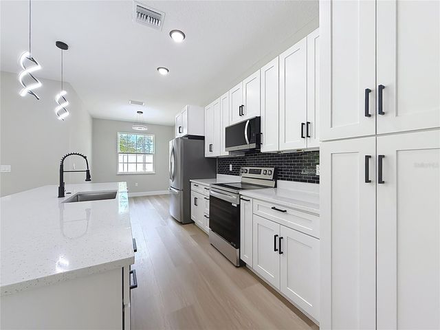 10970 N DRAGONIS DRIVE, Citrus Springs, FL 34433