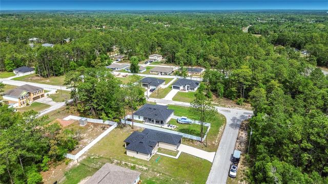 10970 N DRAGONIS DRIVE, Citrus Springs, FL 34433