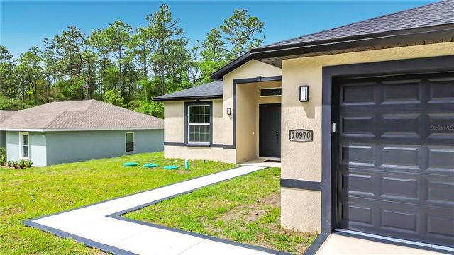10970 N DRAGONIS DRIVE, Citrus Springs, FL 34433