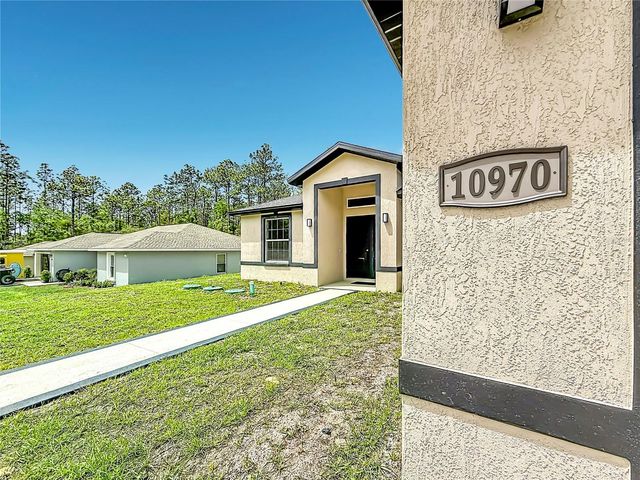 10970 N DRAGONIS DRIVE, Citrus Springs, FL 34433