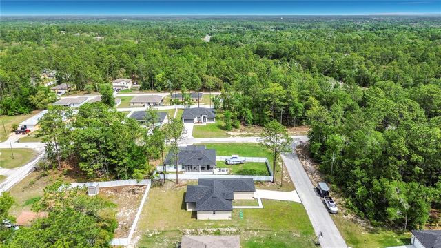 10970 N DRAGONIS DRIVE, Citrus Springs, FL 34433
