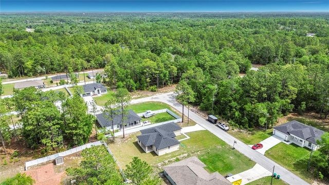 10970 N DRAGONIS DRIVE, Citrus Springs, FL 34433
