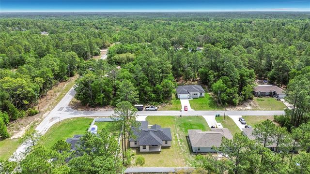 10970 N DRAGONIS DRIVE, Citrus Springs, FL 34433