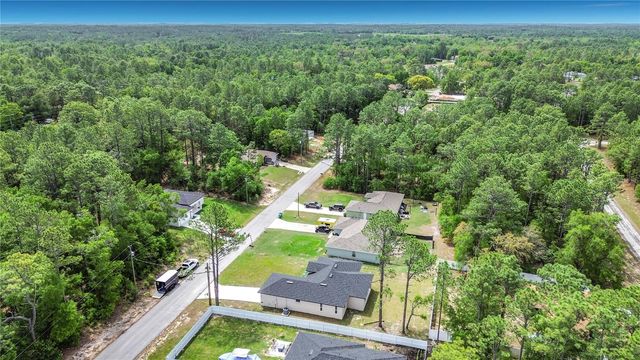 10970 N DRAGONIS DRIVE, Citrus Springs, FL 34433