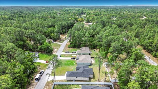 10970 N DRAGONIS DRIVE, Citrus Springs, FL 34433