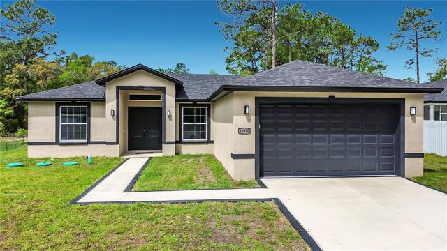 10970 N DRAGONIS DRIVE, Citrus Springs, FL 34433