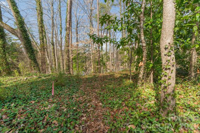 TBD Oakwood Lane, Charlotte, NC 28215