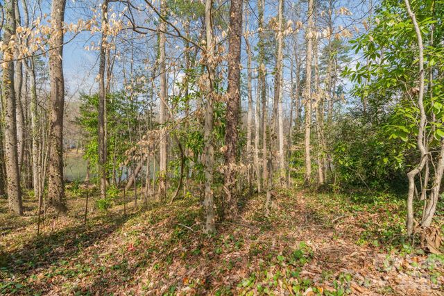 TBD Oakwood Lane, Charlotte, NC 28215