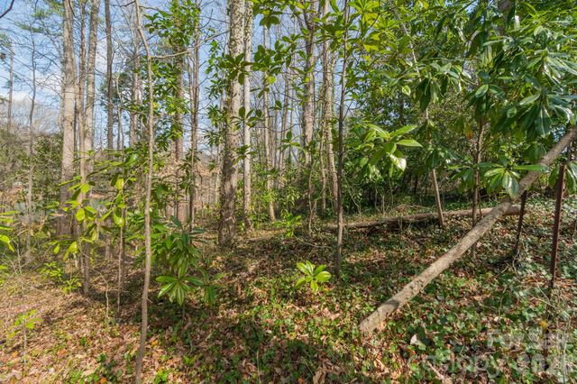 TBD Oakwood Lane, Charlotte, NC 28215