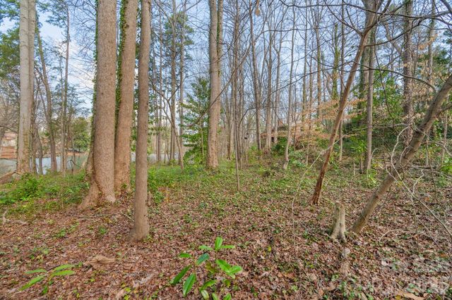 TBD Oakwood Lane, Charlotte, NC 28215