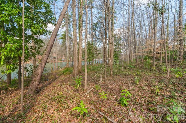 TBD Oakwood Lane, Charlotte, NC 28215