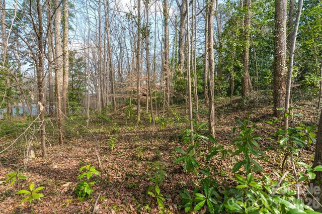 TBD Oakwood Lane, Charlotte, NC 28215