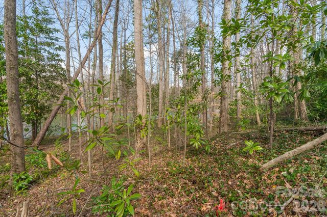 TBD Oakwood Lane, Charlotte, NC 28215