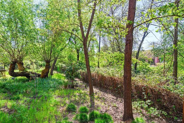 516 Grove St, Healdsburg, CA 95448