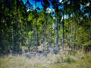 0 Trout Street, Bay Saint Louis, MS 39520