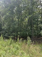 1.5 Liberty Hill Road, Morganton, GA 30560