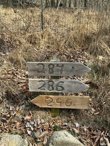 286 Prospect Road, Sneedville, TN 37869