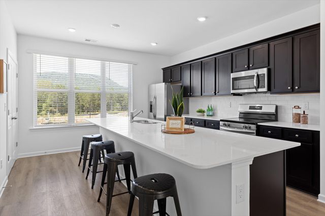 220 Asbury Oak Lane, Chattanooga, TN 37419