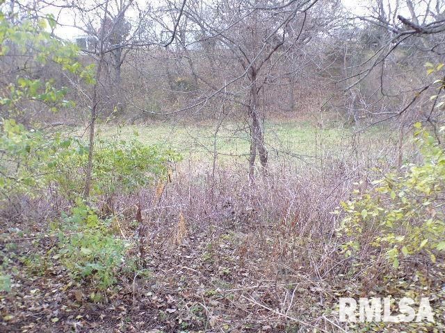 12080 100TH Avenue, Davenport, IA 52804