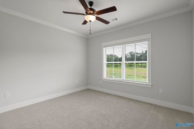 16429 Hamilton Place, Athens, AL 35613
