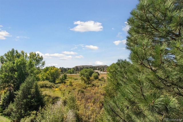 1251 S Gilbert Street 1251, Castle Rock, CO 80104