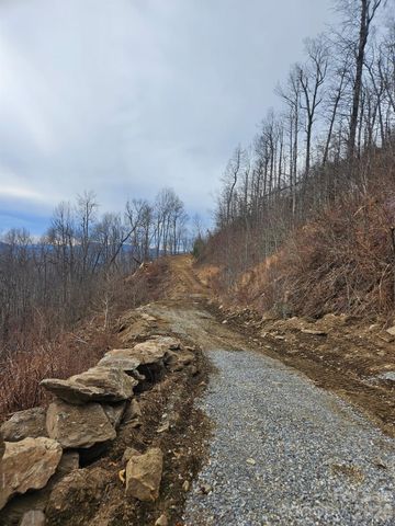 TBD Osborne Knob Road, Little Switzerland, NC 28749