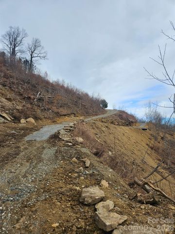 TBD Osborne Knob Road, Little Switzerland, NC 28749