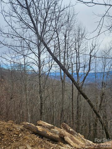 TBD Osborne Knob Road, Little Switzerland, NC 28749