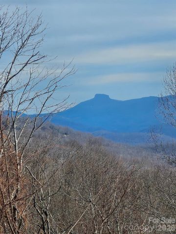 TBD Osborne Knob Road, Little Switzerland, NC 28749