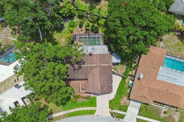 3034 ENISGLEN DRIVE, Palm Harbor, FL 34683