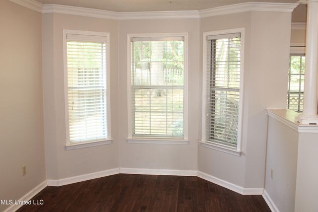 6647 Renee Drive, Olive Branch, MS 38654