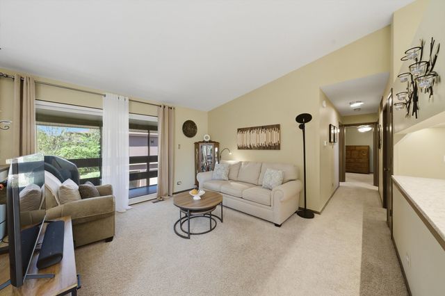 1 W Stonebridge Court 1C, Palos Hills, IL 60465