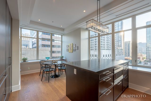 118 E Erie Street 15A, Chicago, IL 60611