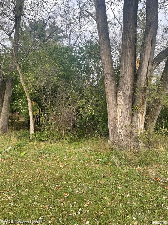 0000 Reed Lake Road, Commerce Charter Township, MI 48382