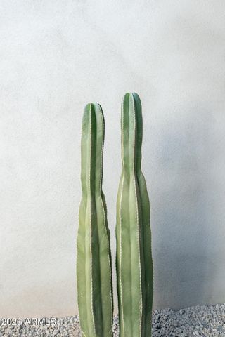 224 W ASPEN Avenue, Gilbert, AZ 85233