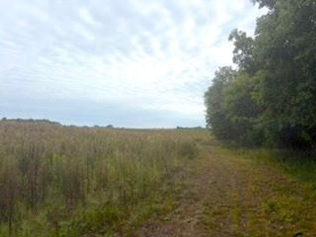 TBD (L7-SM East) Flamingo Street NW, Isanti, MN 55040 — photo 2
