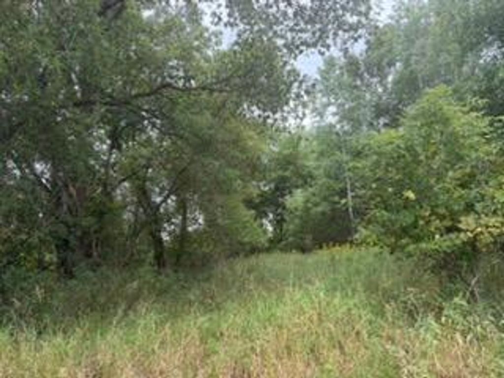 TBD (L7-SM East) Flamingo Street NW, Isanti, MN 55040 — photo 4