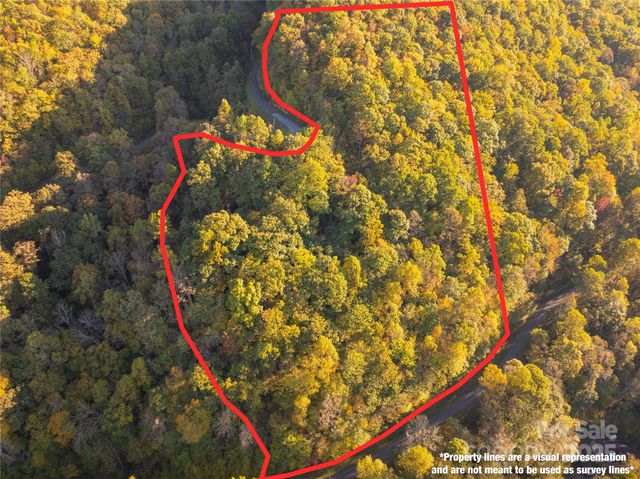 Lot 39 Brush Creek Mountain Road 39, Bryson City, NC 28713