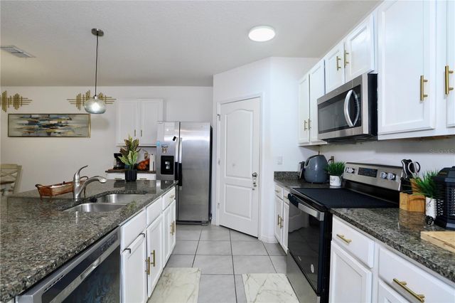 3332 LOGAN BERRY DRIVE, Mount Dora, FL 32757