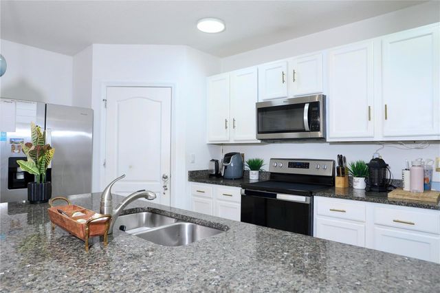 3332 LOGAN BERRY DRIVE, Mount Dora, FL 32757