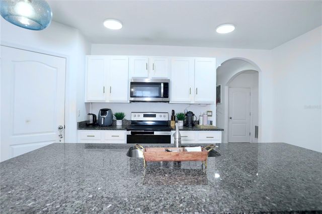 3332 LOGAN BERRY DRIVE, Mount Dora, FL 32757